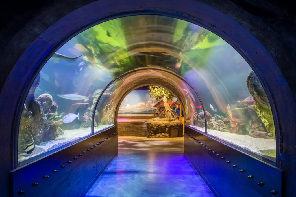 Shreveport Aquarium tunnel
