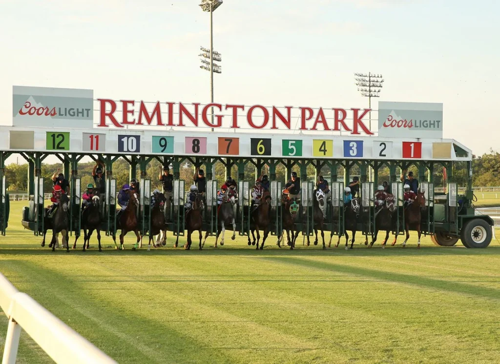 A lineup of horses at the starting gate, ready to race at Remington Park Turf Start. Photo by Dustin Orona Photography.