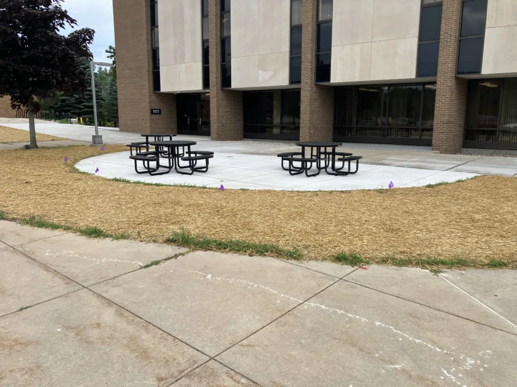 Image showing the landscaping around the VFS building where the new chiller was placed. 